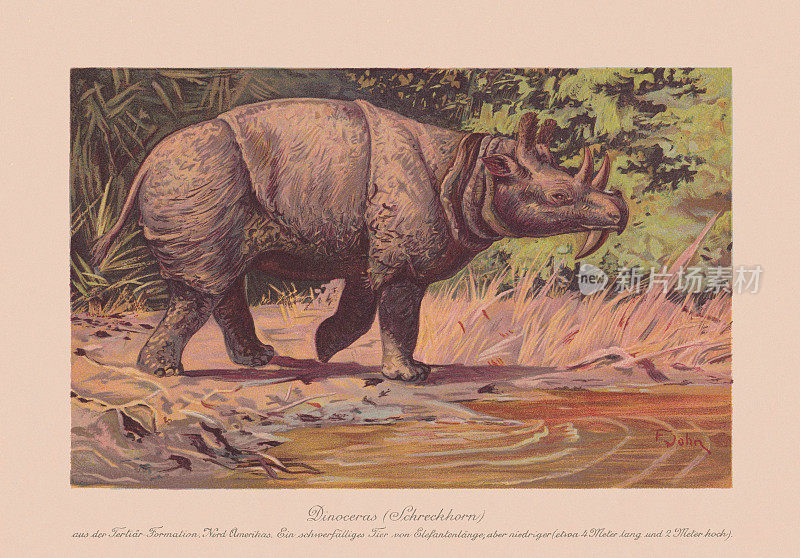 恐龙群(Uintatherium, Group of Dinocerata)，石印，出版于1900年